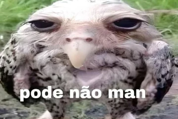 imagem evento