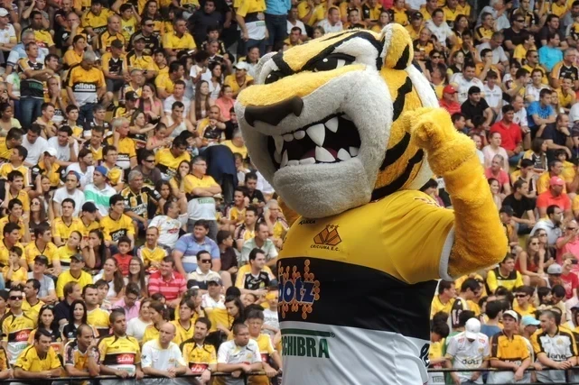 Os 500 do Criciúma Esporte Clube
