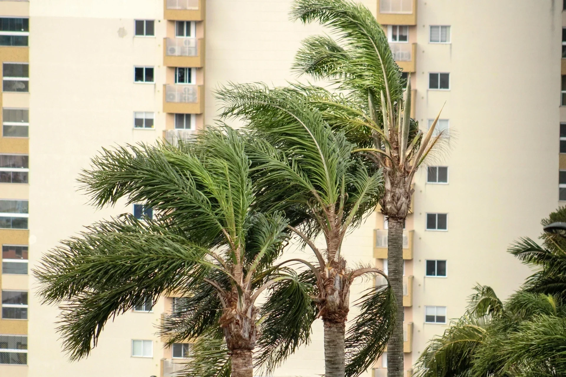 Ciclone, calor e chuva: confira a previsão do tempo para a semana