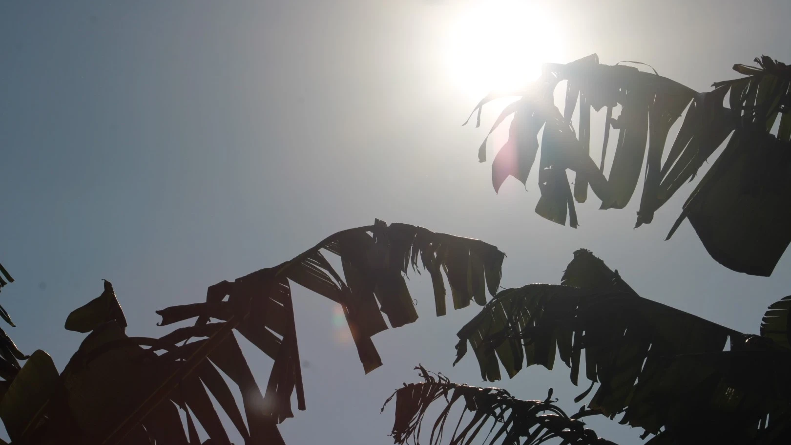 Calor ultrapassa os 30ºC no Sul de SC; confira a lista das maiores temperaturas do estado