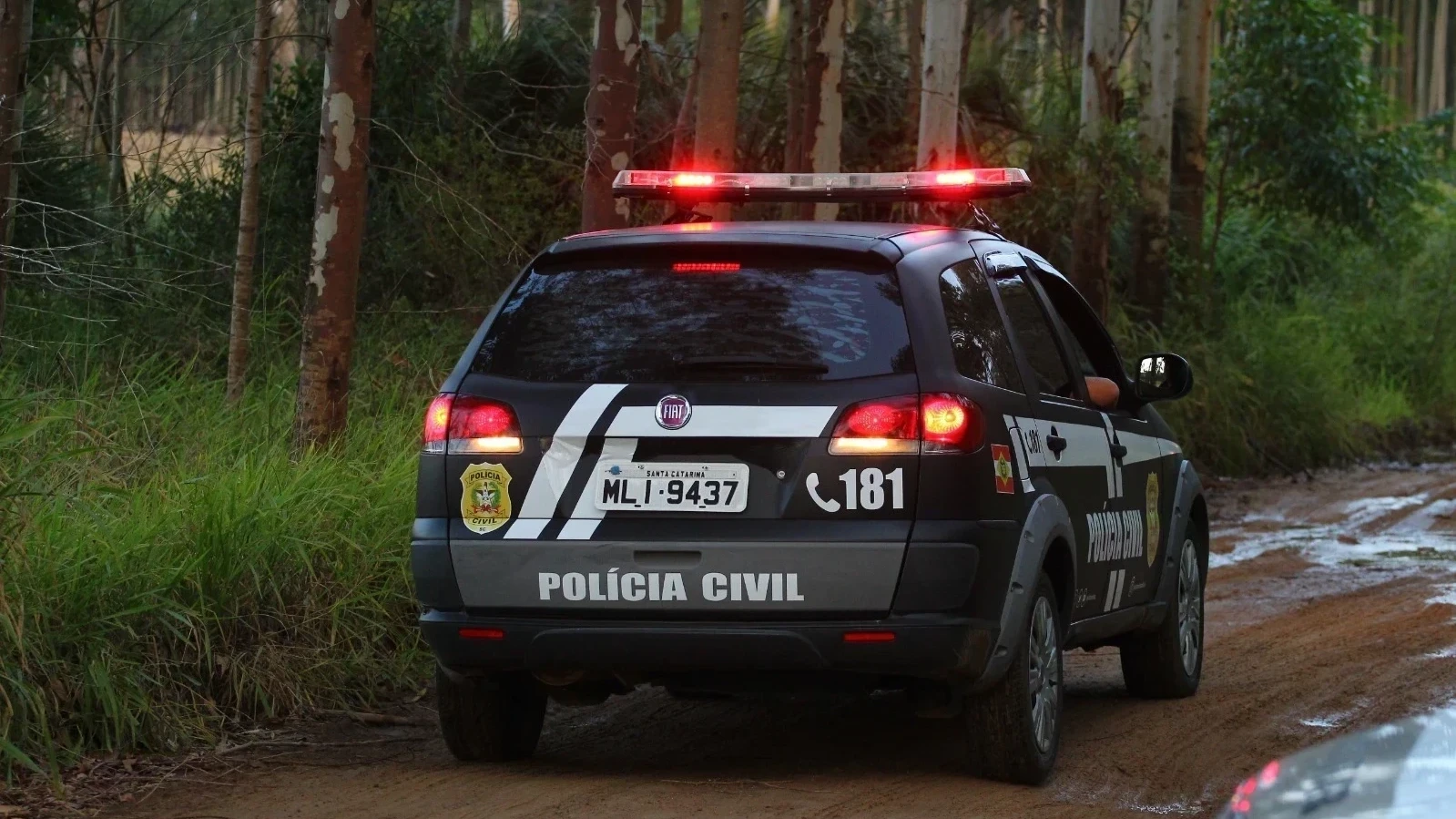 Caso Daniele: Polícia Civil identifica responsáveis por tortura e morte de adolescente