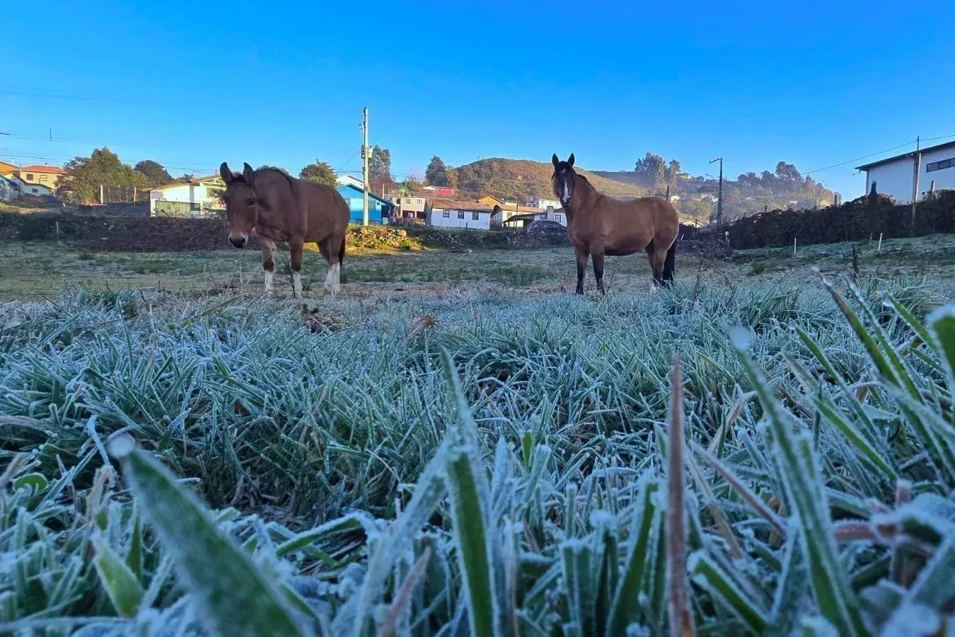 Cidades de SC amanhecem com temperaturas negativas nesta terça-feira