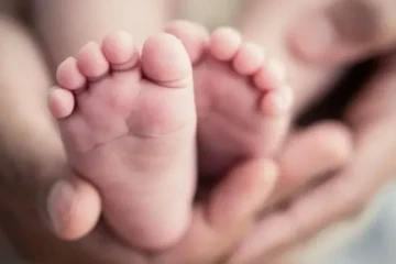 imagem categoria