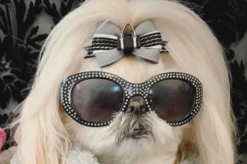 Miss Brasil é mãe